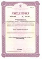 Сертификат отделения Льва Толстого 93