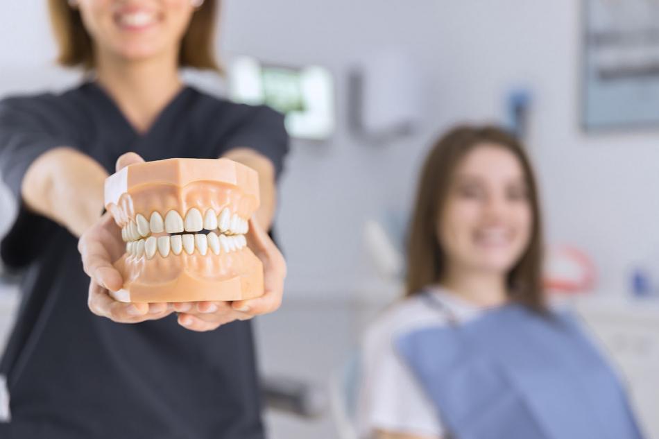 Сколько стоит консультация стоматолога-ортопеда?